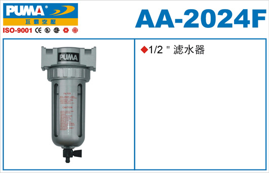 AA2024Fs